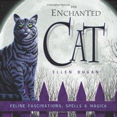 The Cat's Spell: Unveiling the Magic behind Mystical Felines